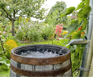 Rain barrel