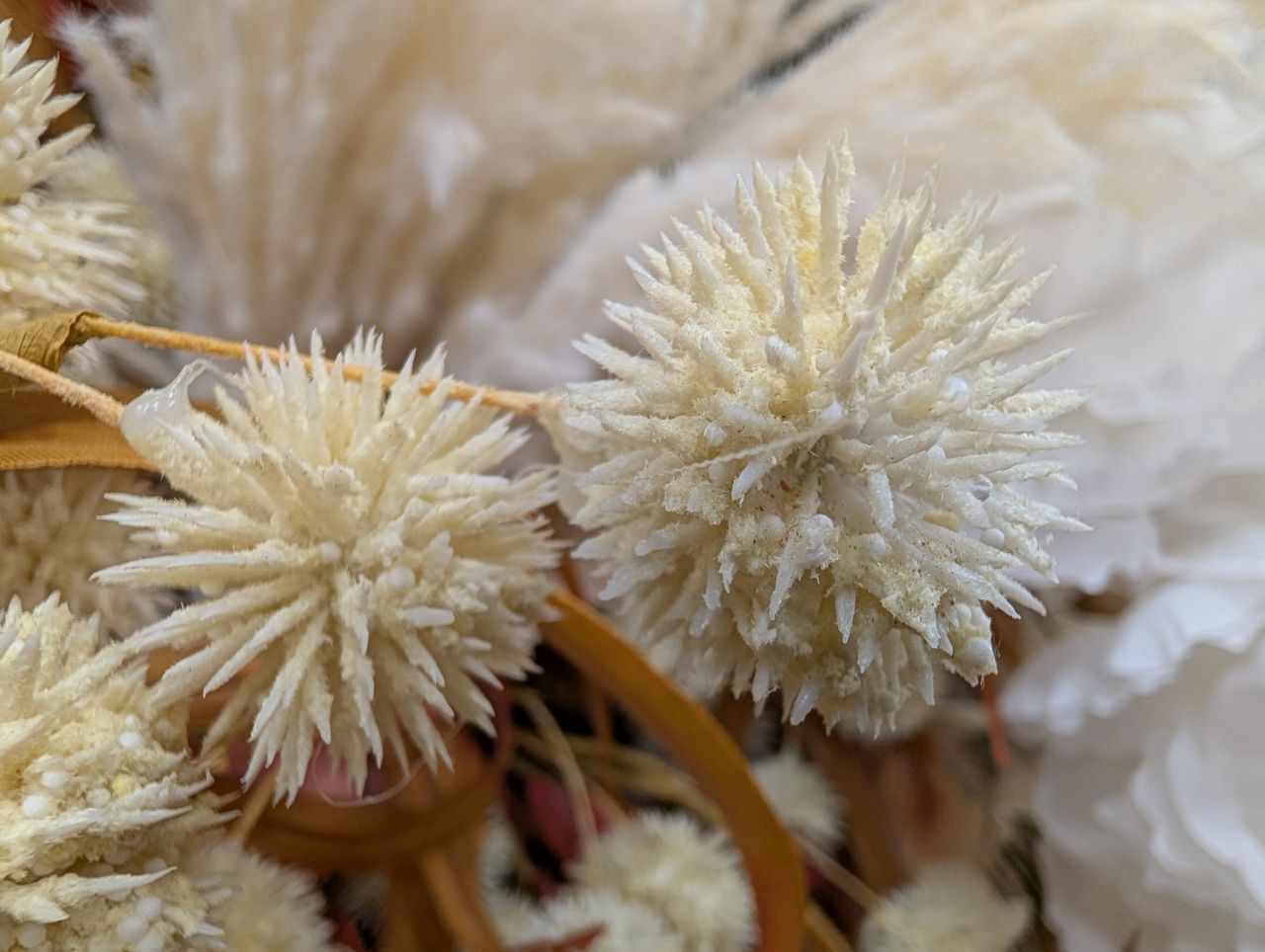 Google Pixel 9 Pro XL macro sample.
