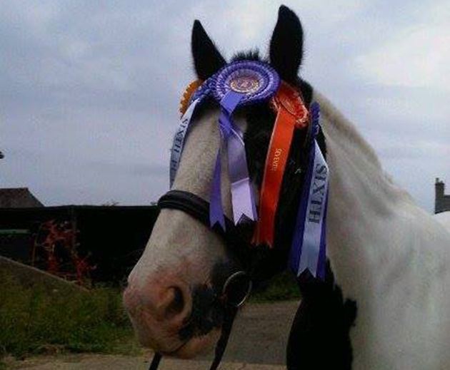Rosette overload