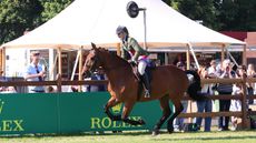 The King&rsquo;s 13-year-old Wyevale Harry, ridden by Isobel Oakley, won the pure-bred ridden Cleveland Bay class at Royal Windsor.
