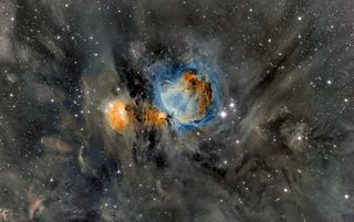 M42 by Robert Fields