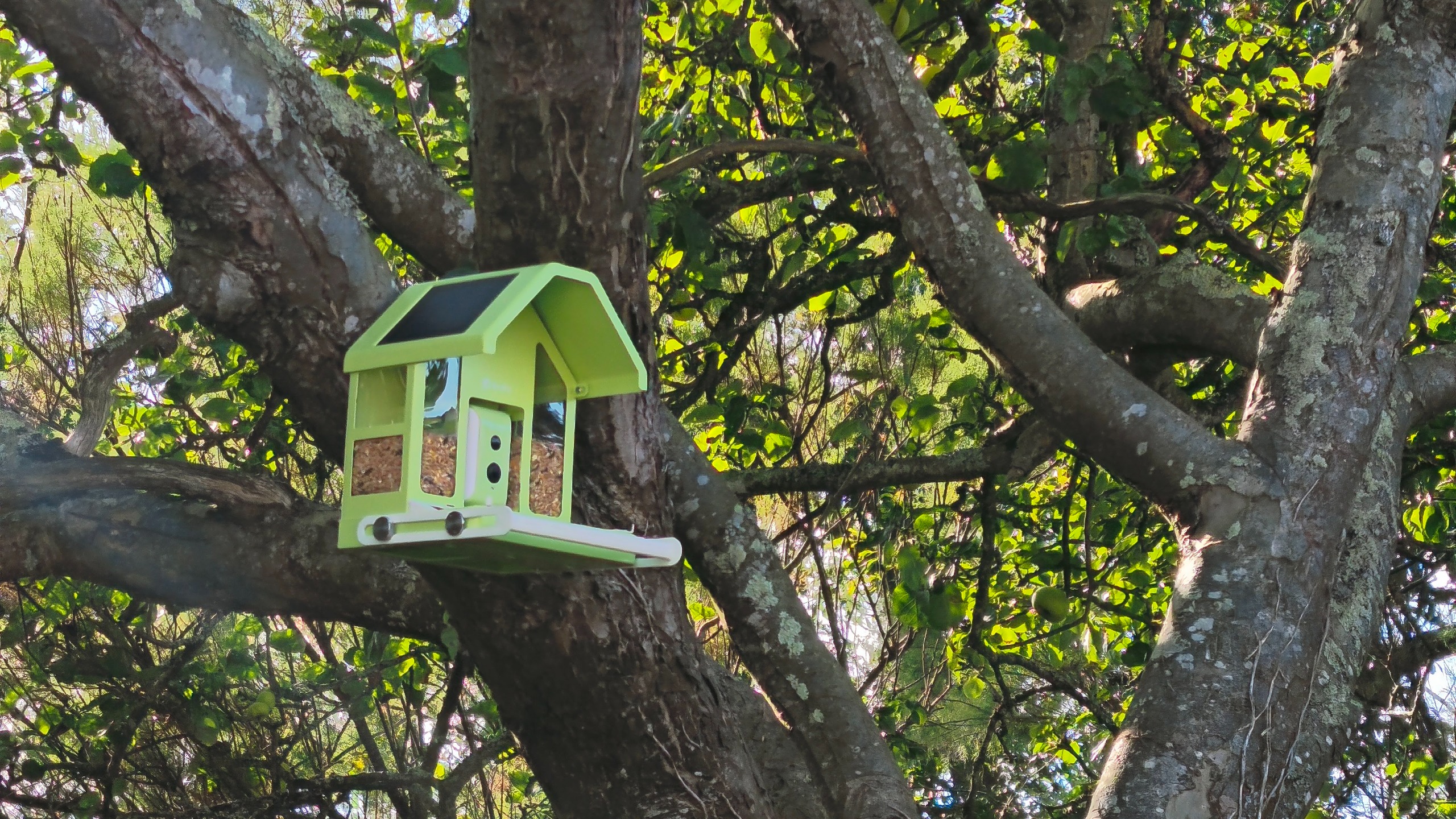 Birdfy Feeder Metal