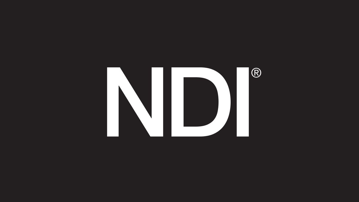 NDI Logo