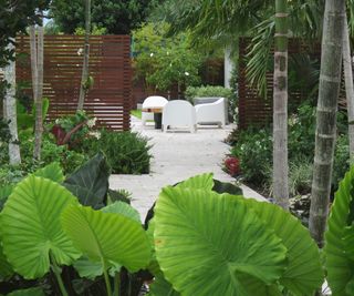 front yard with tropical plants, palms and seating area