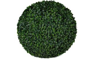 Boxwood balls