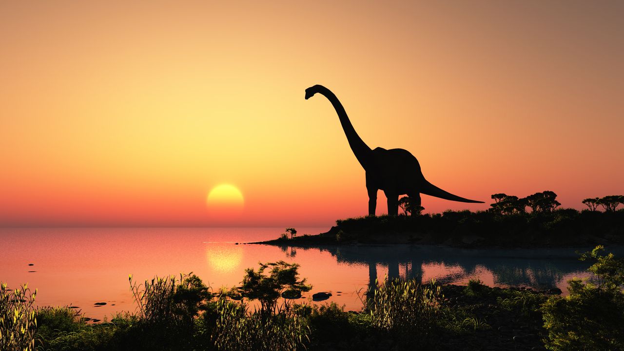 Apatosaurus.