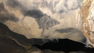 Large photograph of cave art in Puerto Rico with detailed portrayal of a stingray.