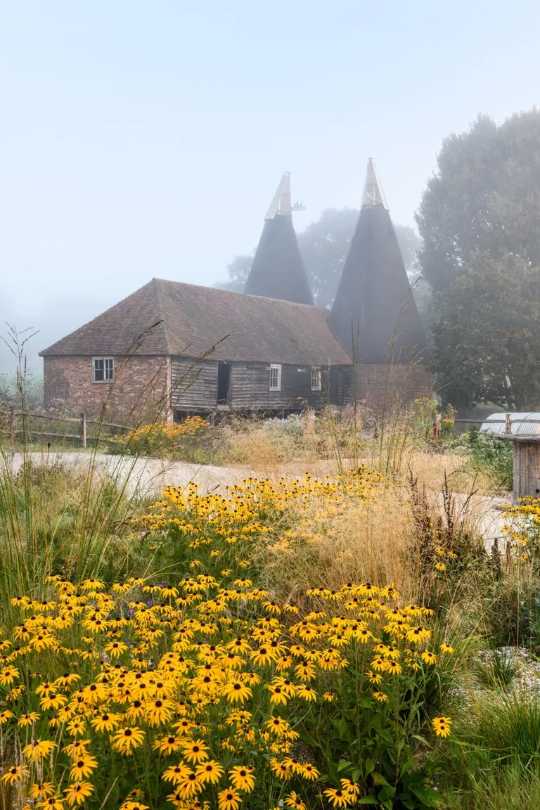 Marian Boswall garden design