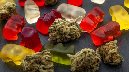 cannabis gummies and marijuana plant