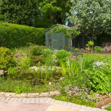 A summer garden with flowers, plants and a pond in front of a lawn and a shed, surrounded by hedges and trees