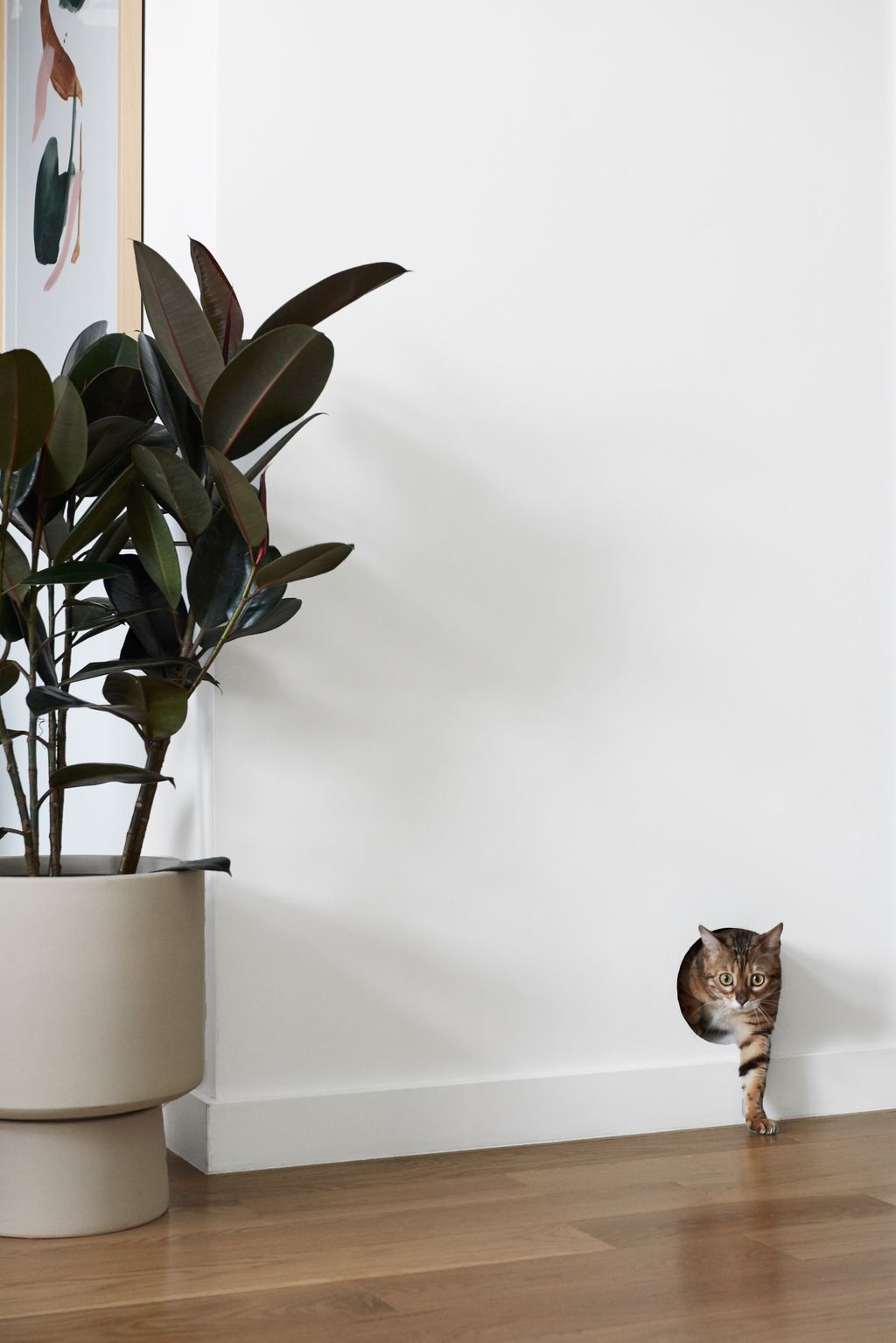 How can you hide a litter box? 7 builtin ideas to try Livingetc
