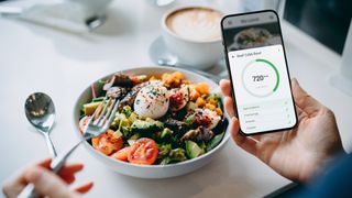 Image of a healthy bowl of food with someone counting calories on an app