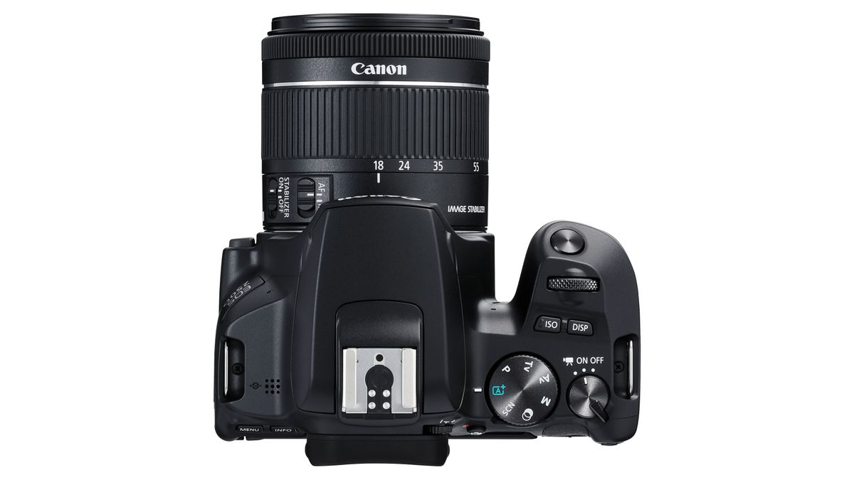 Canon EOS 250D vs EOS 200D / Rebel SL3 vs Rebel SL2 Digital Camera World