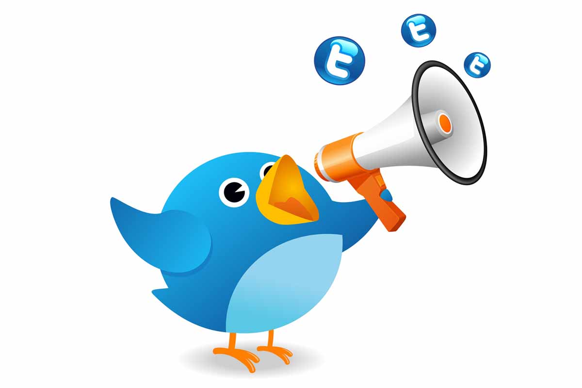 Twitter bird