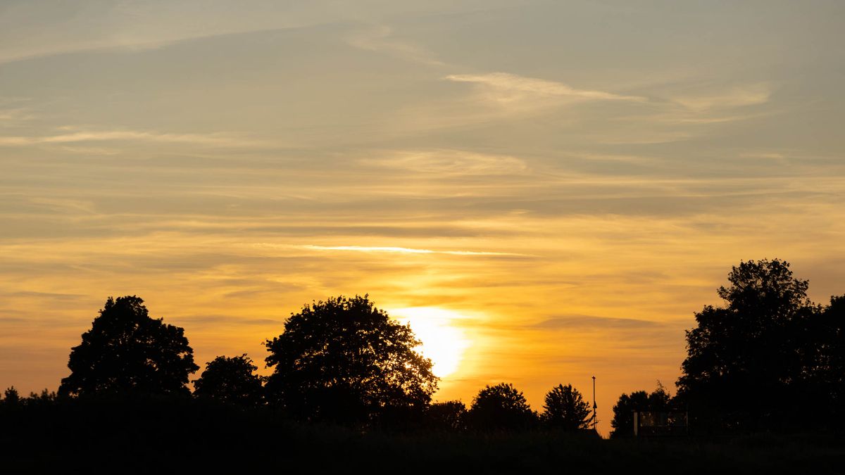 A hazy summer sunset with silhouetted tree line in the distance