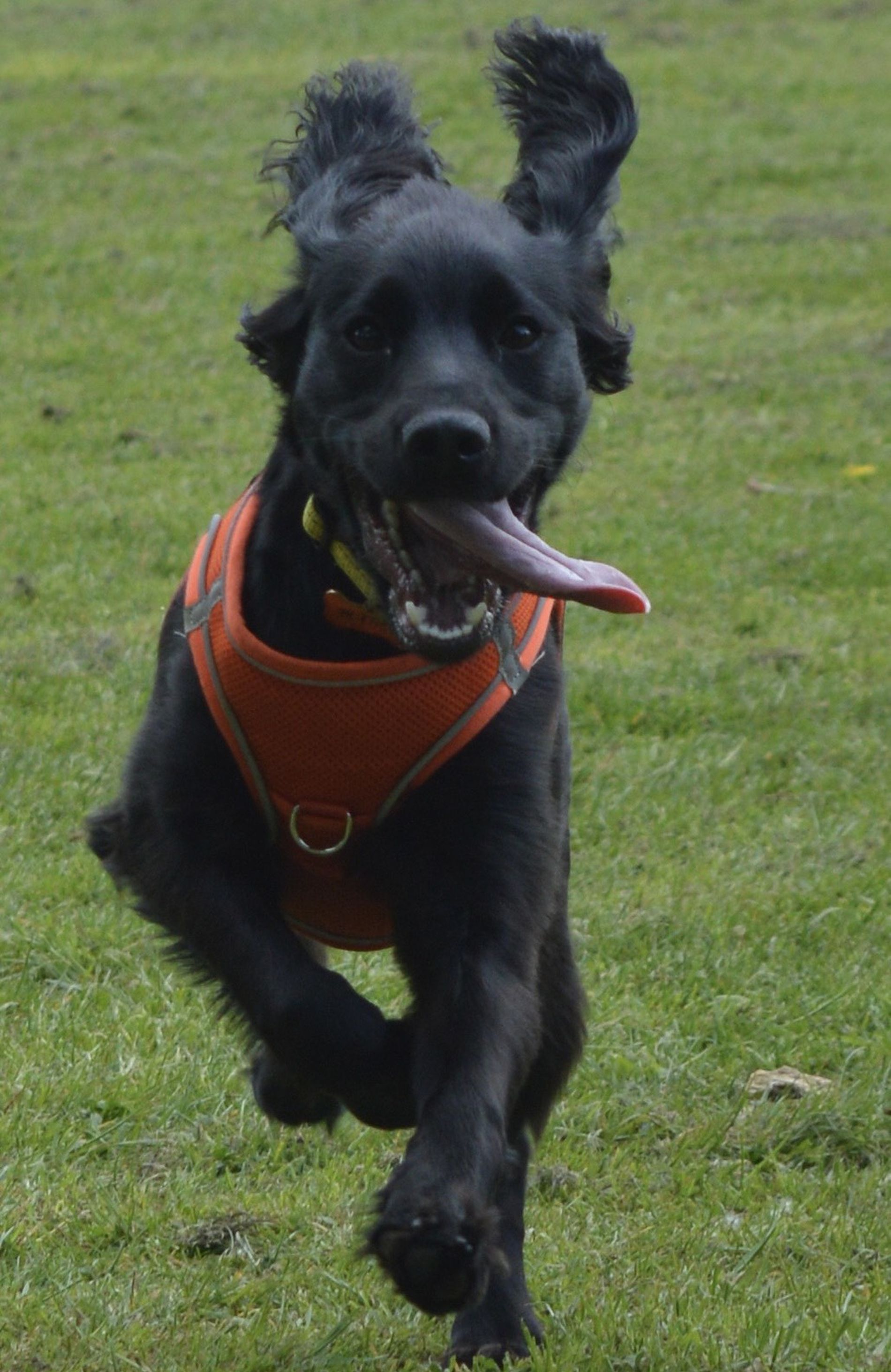 GuruShots - Nature&rsquo;s Masterpiece 2026