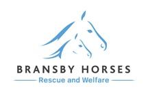 bransby-horses.jpg