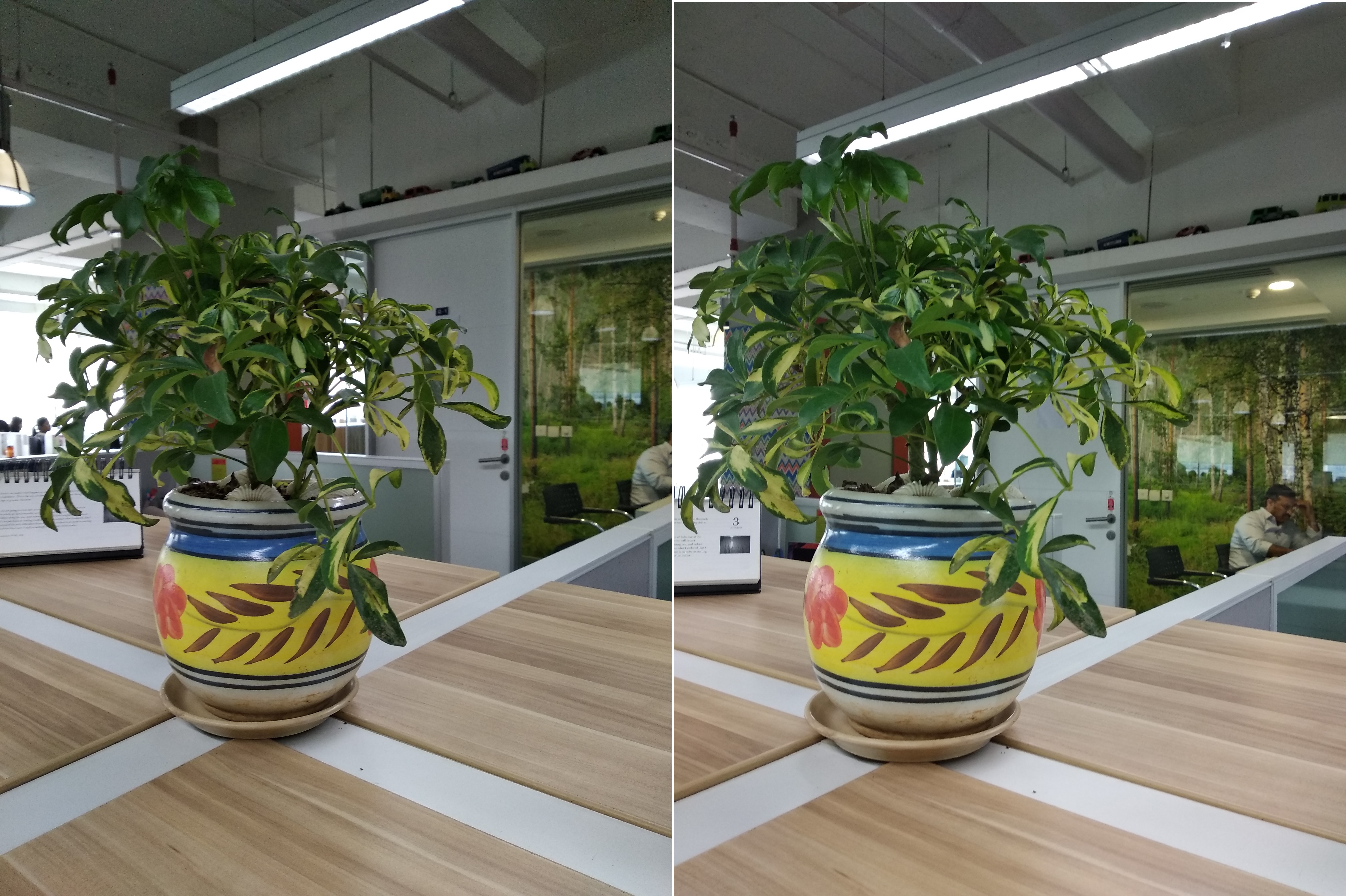  Redmi 5 (left), Redmi Note 5 (right) 