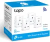 TP-Link Tapo smart plug 