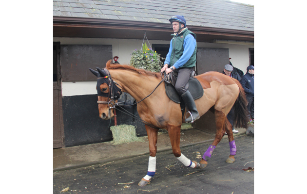3 Annie Power