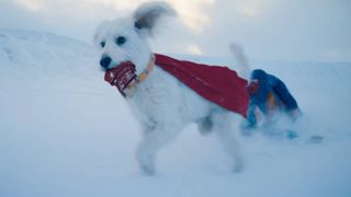 Krypto the dog in Superman