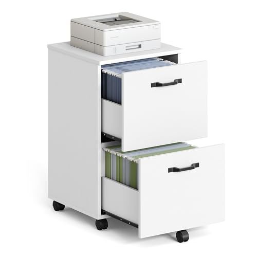 2-Drawer Filing Cabinet