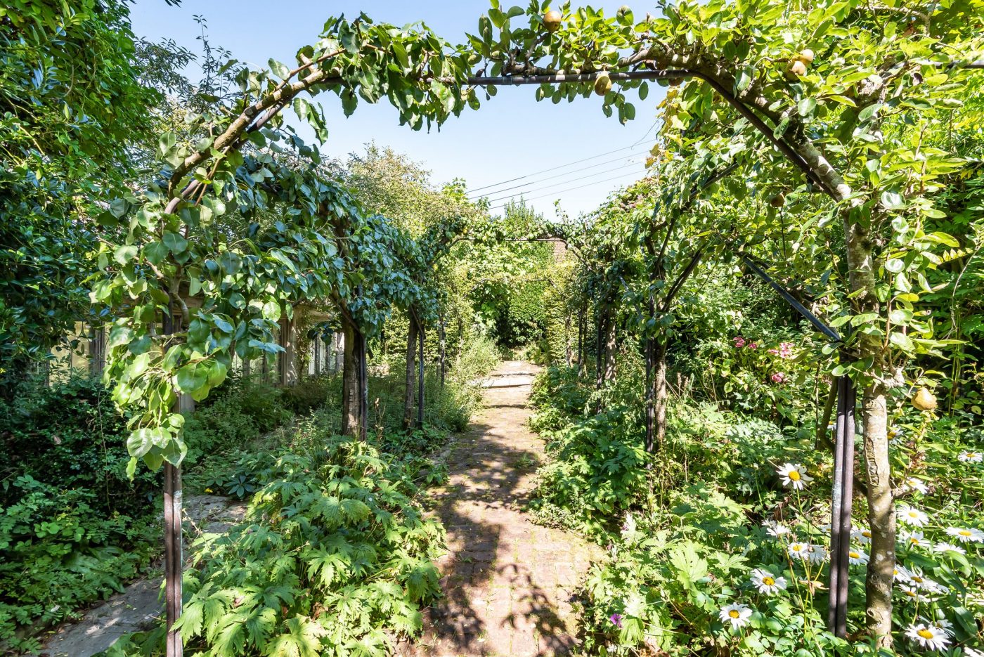 P4-Arbour-Small-scaled-e1638792106258.jpg