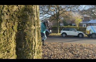 A woman walking out from behind a tree