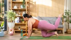 A woman exercises on hands and knees in her living room. Her arms are straight, hands on the floor, and her right leg is bent so that her knee and toes are on the floor. Her left leg is also bent but kicking upwards towards the ceiling. behind her we see a couch, shelving and plants.