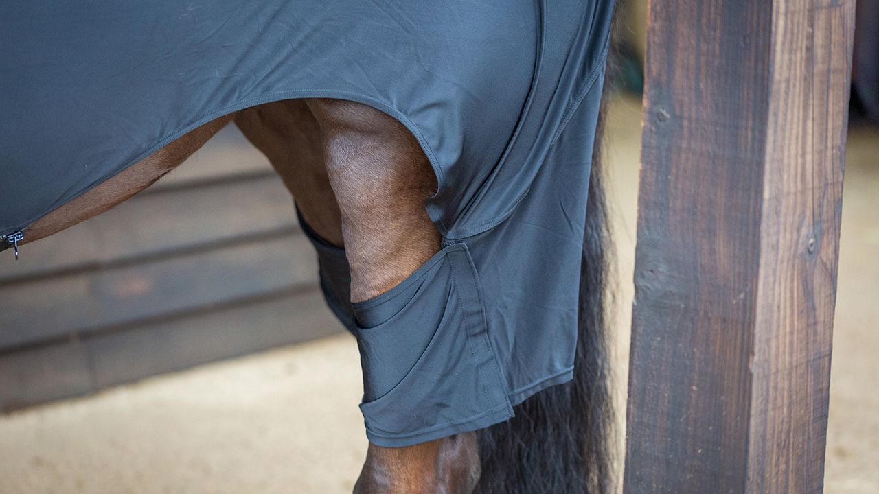 Horseware Rambo Full-body Slinky