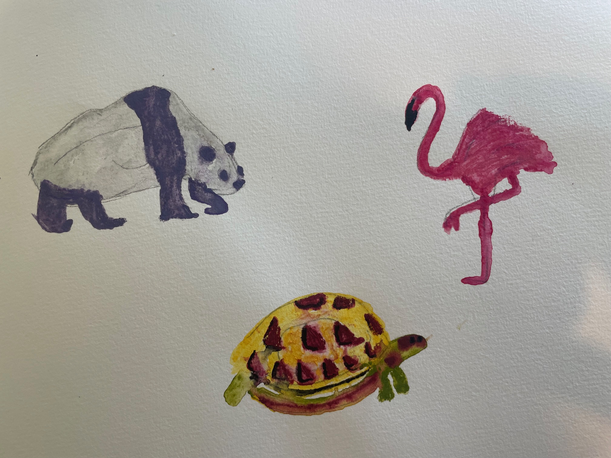 watercolour of a tortoise, panda and flamingo