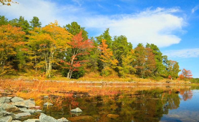 Fall foliage from Mike Kvackay&#039;s time-lapse video.