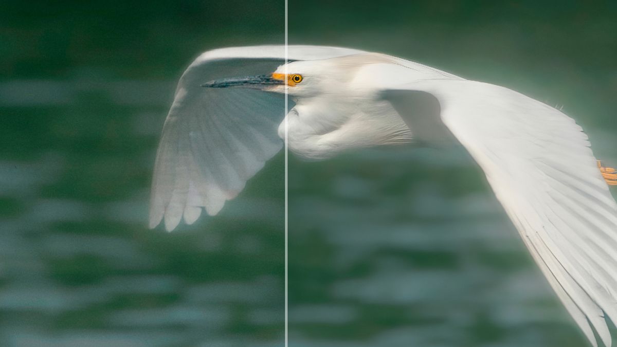 10 ways AI can transform your photo editing