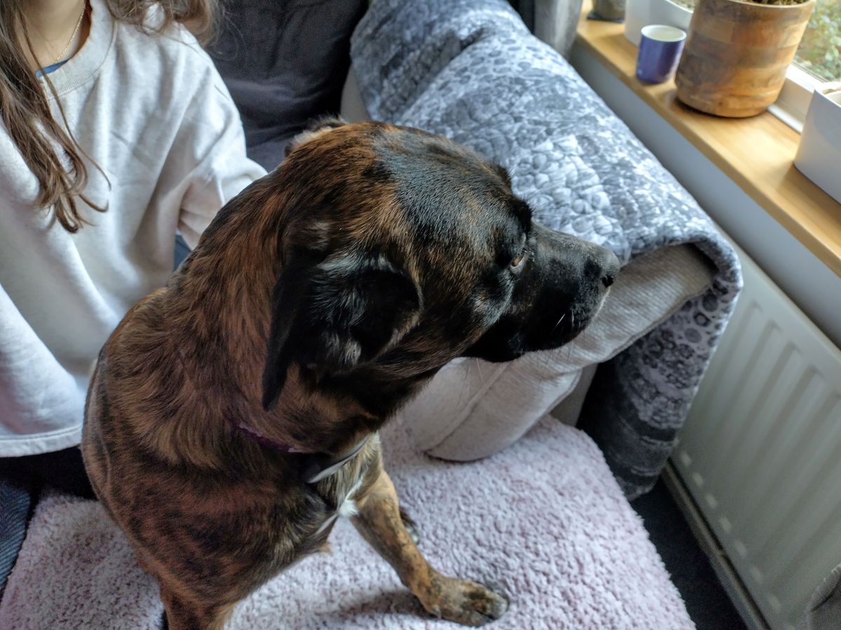 Nokia XR21 photo examples