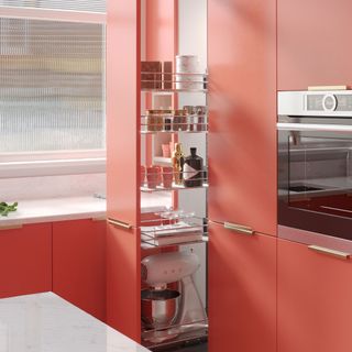 kitchen area with pink pull out storage cabinet and racks