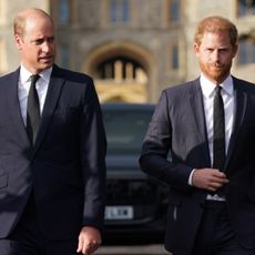 Prince William and Prince Harry