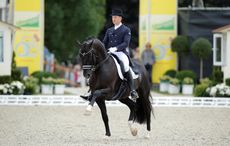 Totilas, pictured at European Dressage Championships, was one of the world&rsquo;s most expensive horses