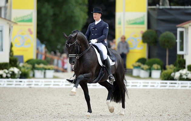 Totilas, pictured at European Dressage Championships, was one of the world&rsquo;s most expensive horses