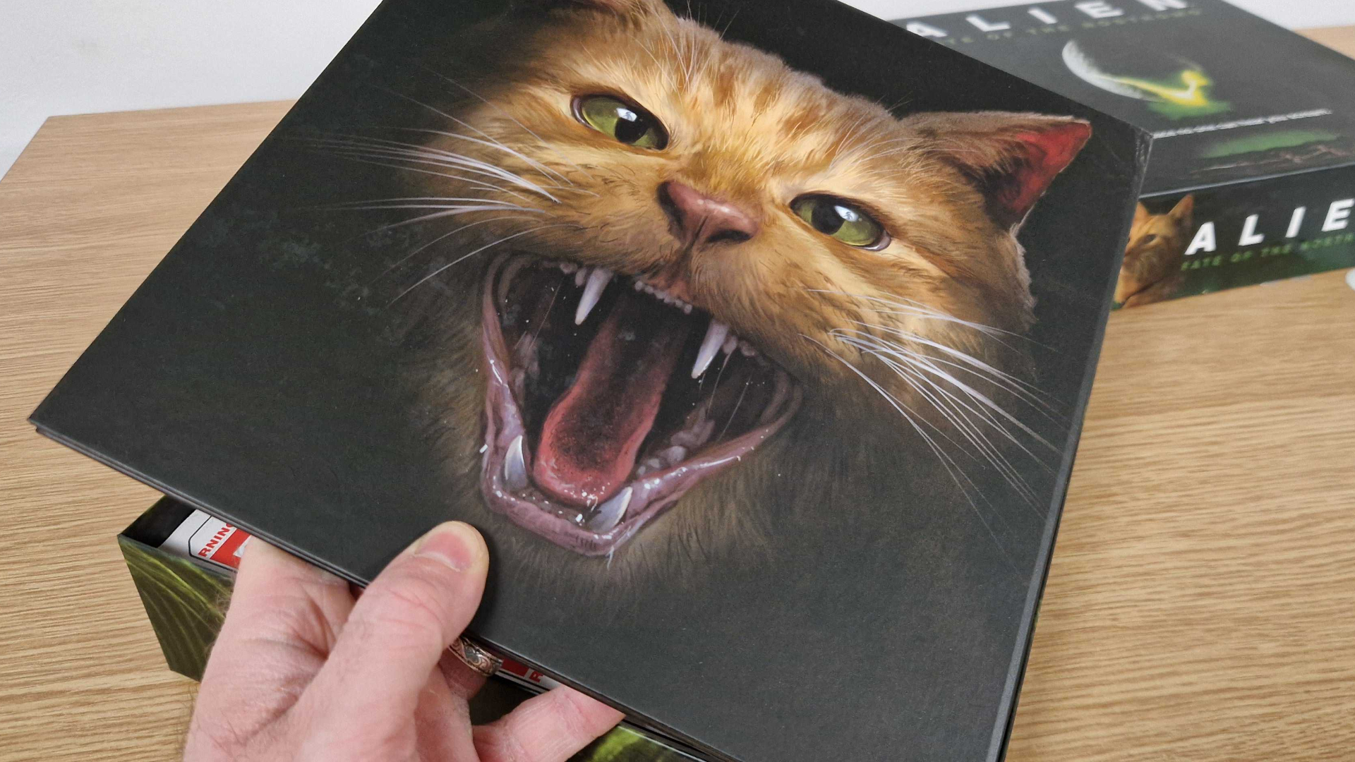 A hand holds a board with a cat hissing on it