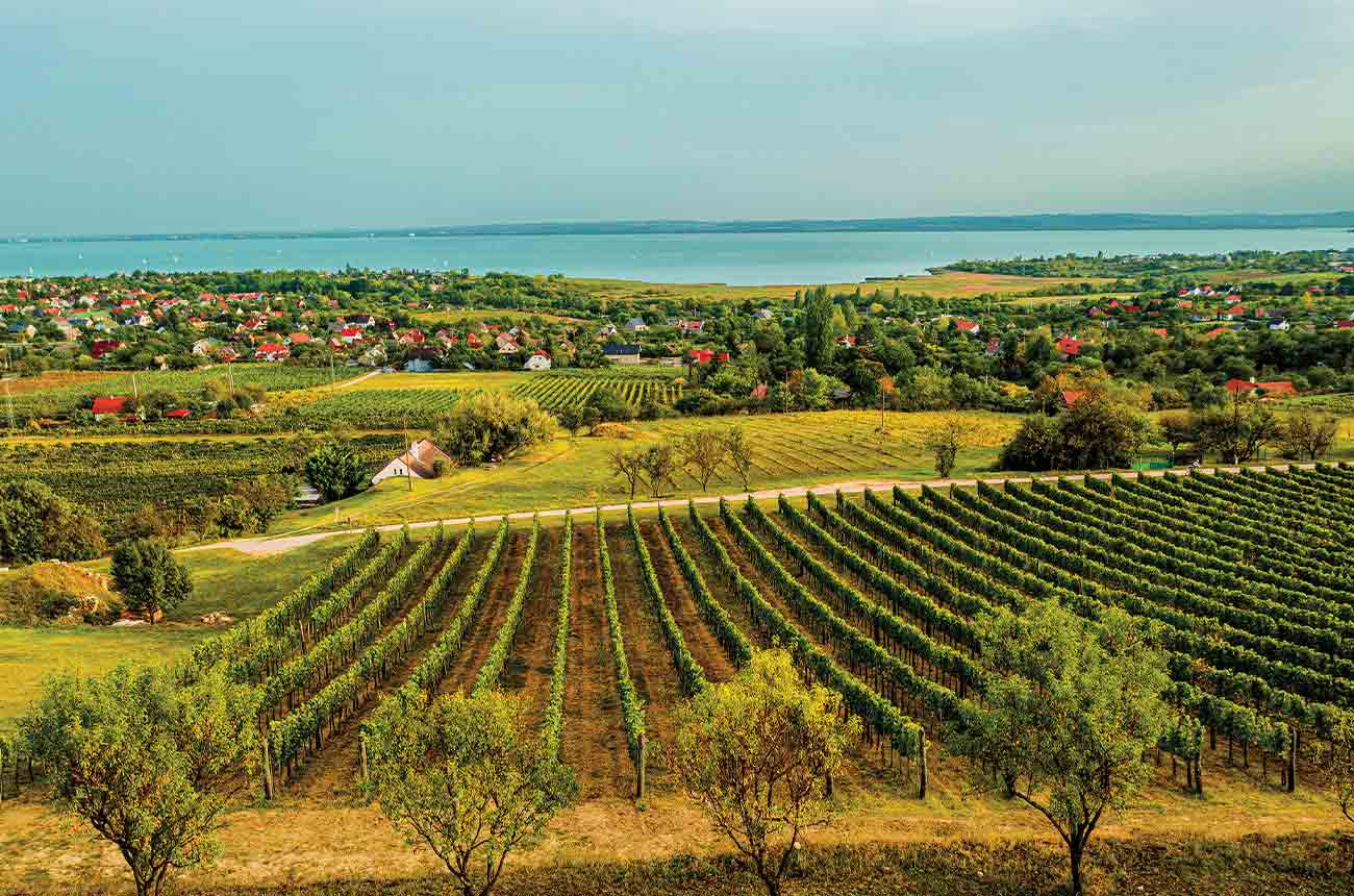 Csopak, on the northern shore of Lake Balaton in Hungary