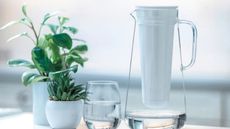 LifeStraw Home Water Filter Pitcher in white kitchen beside glass of water and plant