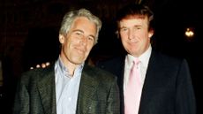 Donald Trump and Jeffrey Epstein