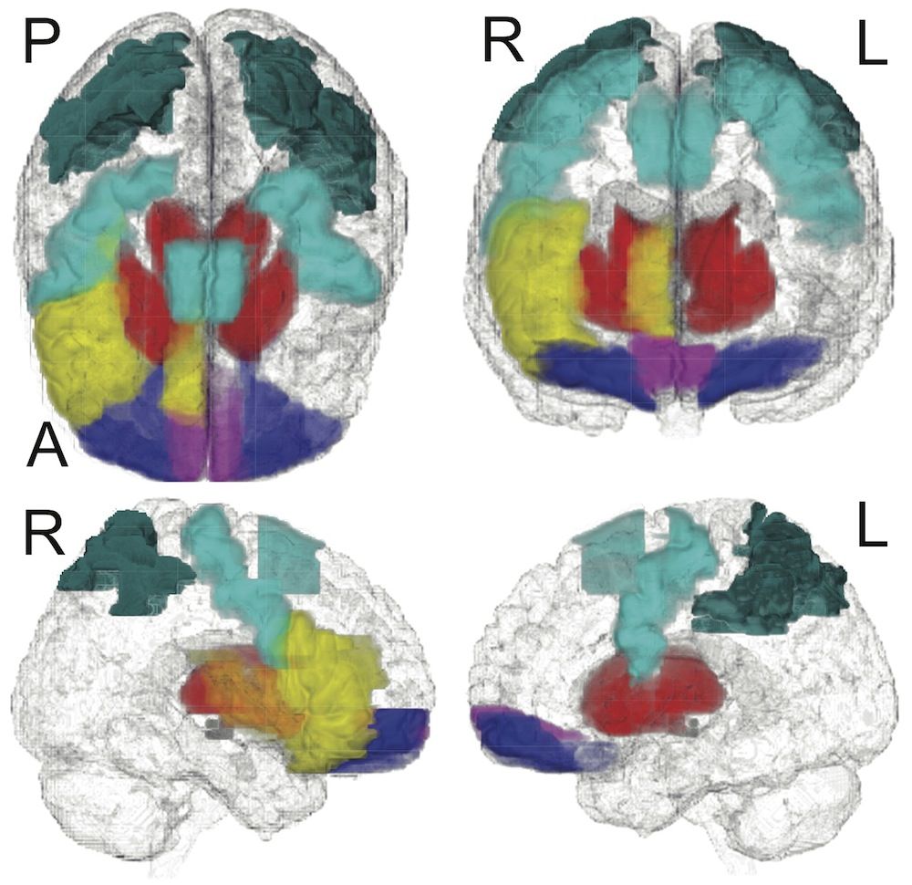 Brain scans showing impulsivity networks in the teen brain.