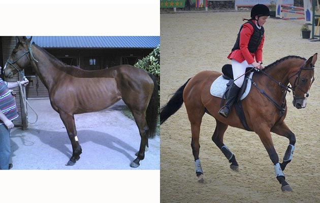 “This is Our Day Will Come, or stable name Summer — my amazing 11-year-old 15.2hh bay mare on the day I got her eight years ago straight out of racing, and now competing with my 13-year-old daughter Nina. She’s the most honest, gentle, loving horse I’ve ever owned and I wouldn’t swap her for the world” — Stel Whittaker