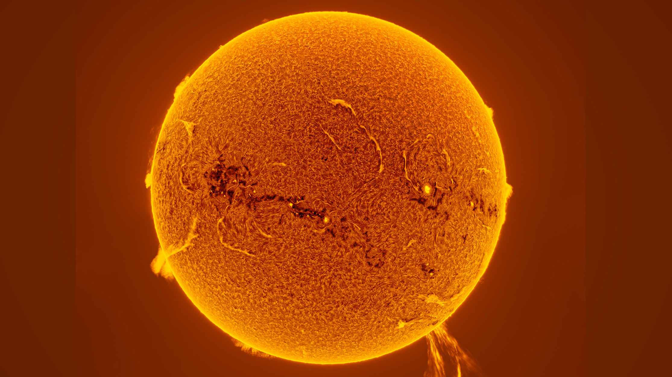 A vibrant, close-up view of the sun, showcasing its fiery surface texture and solar flares against a warm orange background