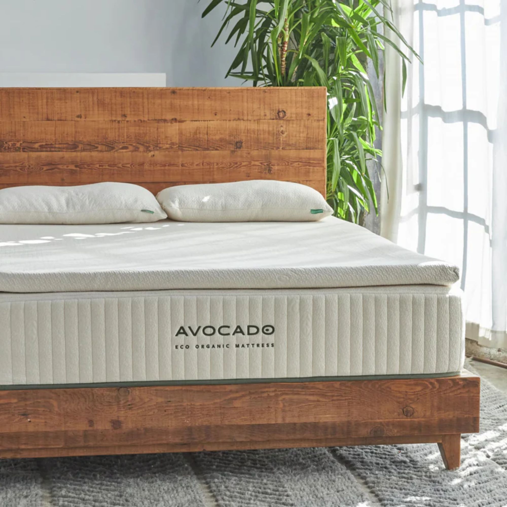 Avocado Latex Mattress Topper on a wooden bedframe with a large plant behind and grey rug underneath.