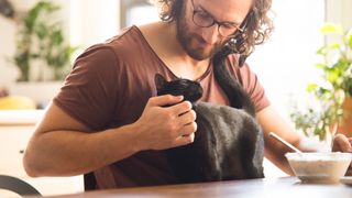 Cat perched on owner&#039;s lap looking for attention