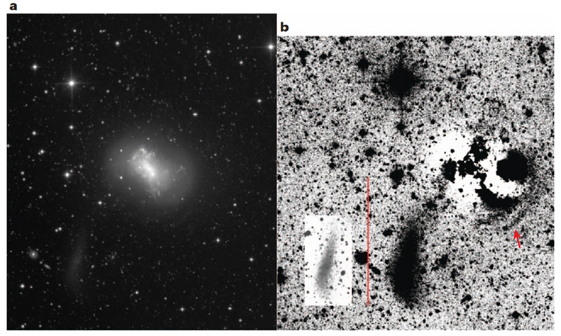 (Left) NGC 4449 shown as imaged using the Centurion 28-inch telescope in a three-hour exposure. (Right) NGC 4449 after image processing, including subtraction of the smooth light of older stars. The full extent of the tadpole-like companion NGC 4449B is revealed, including a faint streamer of stars extending toward the nucleus.