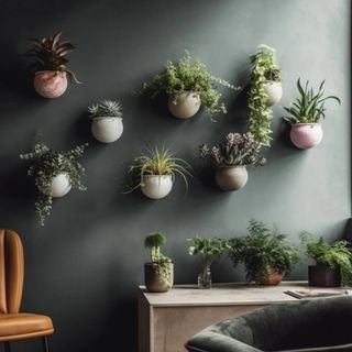 Eight small plant pots with different foliage nailed onto a dark green mattee wall