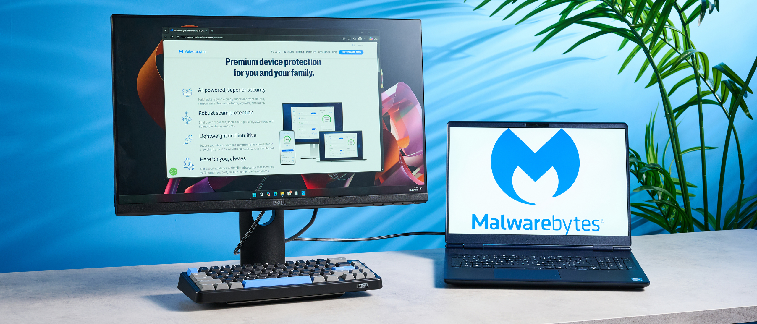 Malwarebytes antivirus software